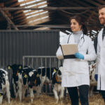 Campanha global destaca atuação “invisível” de médicos-veterinários e reforça importância da profissão