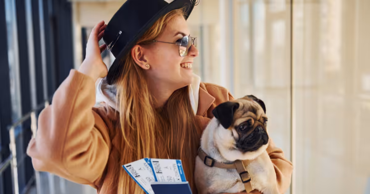 Mudanças internacionais com pets crescem e desafiam tutores