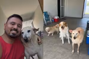 Cachorro de 22 anos é adotado em SC e vira símbolo de esperança contra o abandono