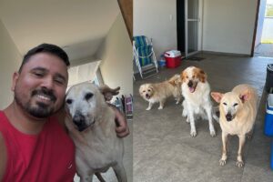 Cachorro de 22 anos é adotado em SC e vira símbolo de esperança contra o abandono
