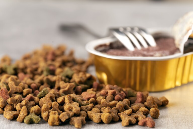 Mix feeding: a mistura de secos e úmidos no manejo nutricional de cães e gatos