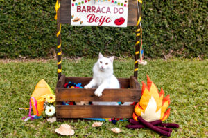 arraia pet