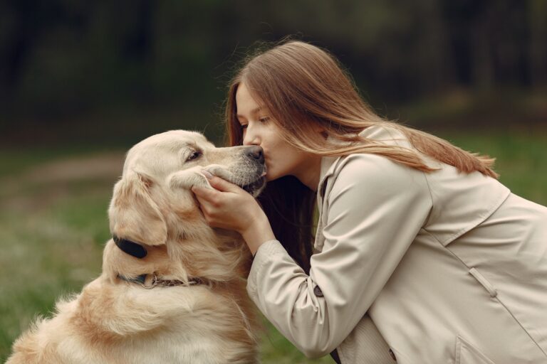 Qual cachorro combina com você? Descubra o pet ideal de acordo com o seu signo