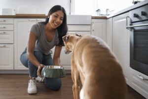 Giardíase em cães: parasitose intestinal exige atenção ao diagnóstico