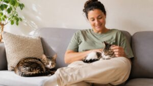 pet sitter
