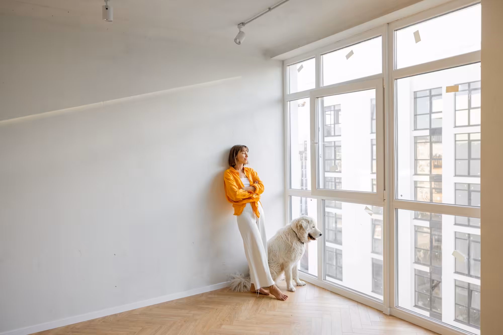 Apartamento pode ser um ambiente feliz para o cachorro