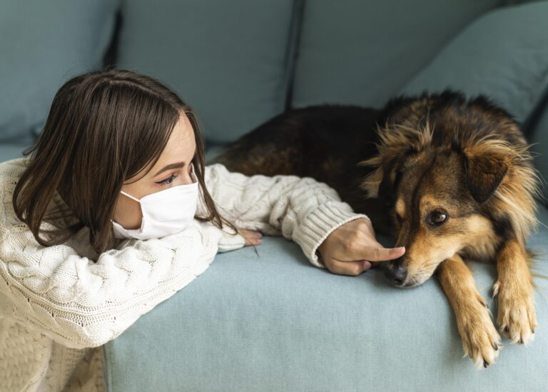 Cães em terapias de saúde mental: entre o encantamento e a evidência