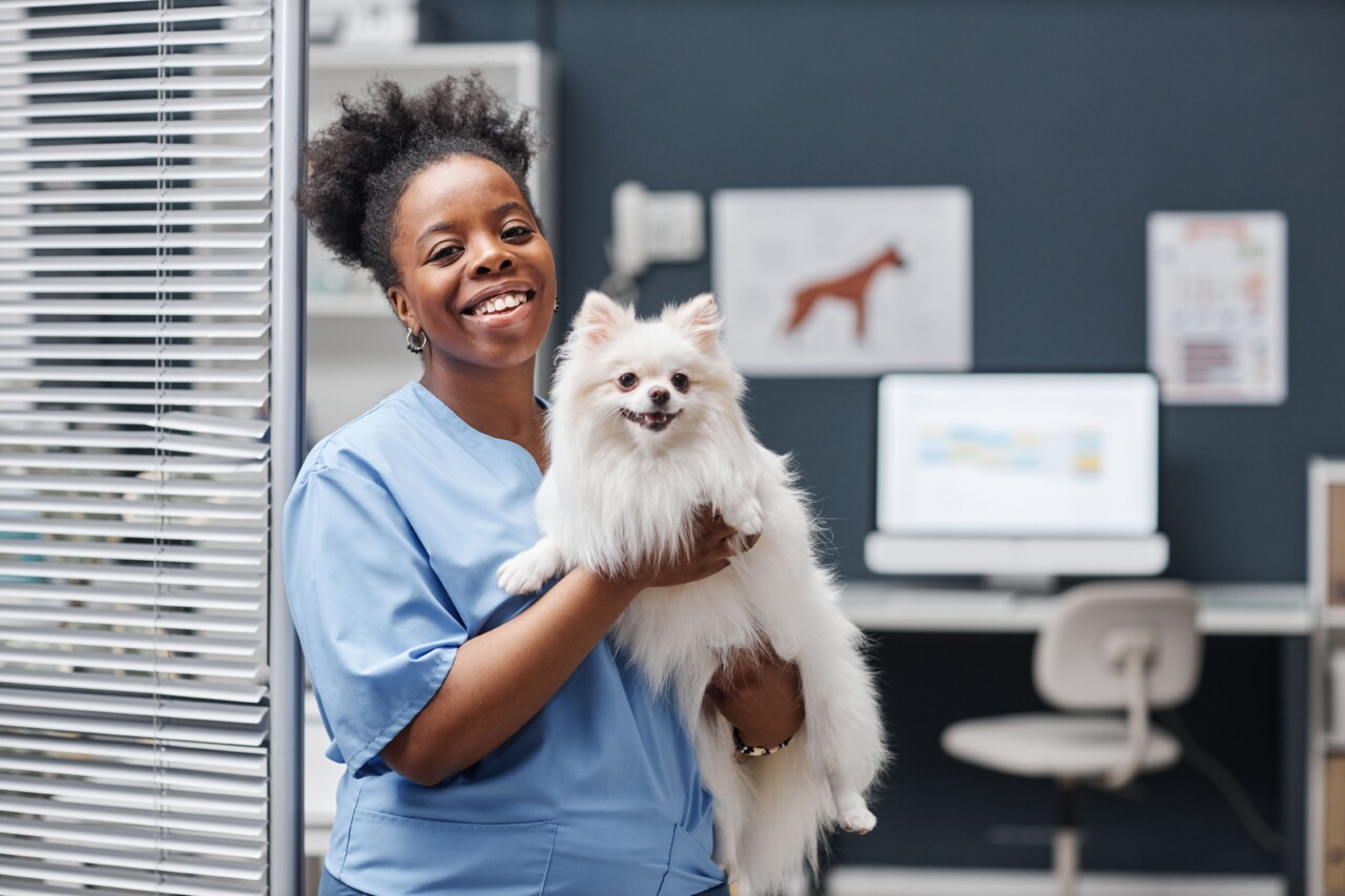 CFMV realiza I Seminário da Comissão de Valorização da Mulher na Medicina Veterinária e Zootecnia