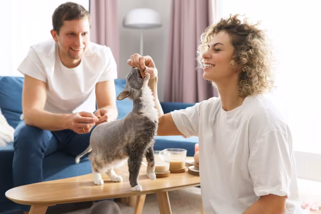 Young happy couple and their cat at home