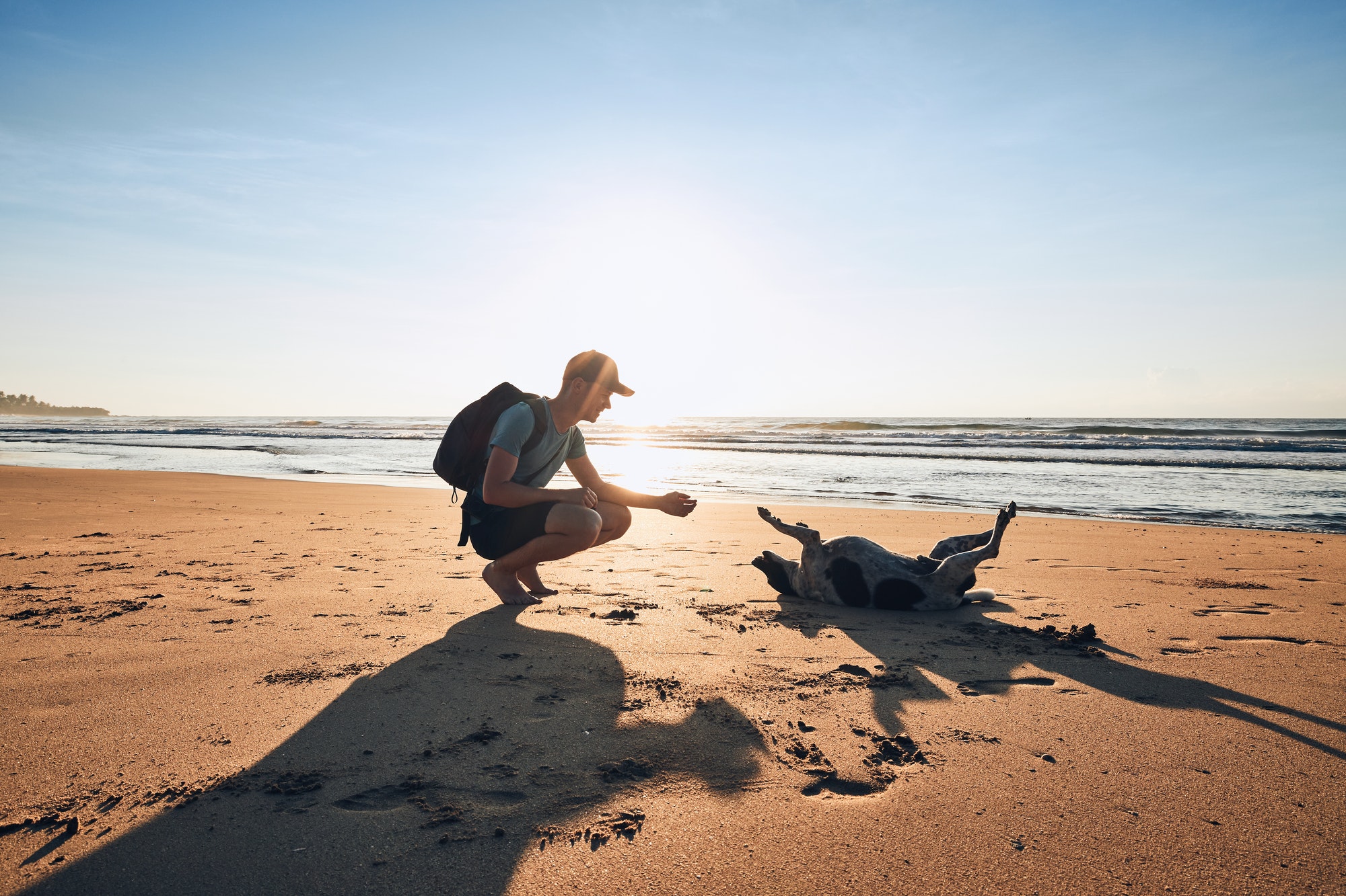 Young man with dog on beach