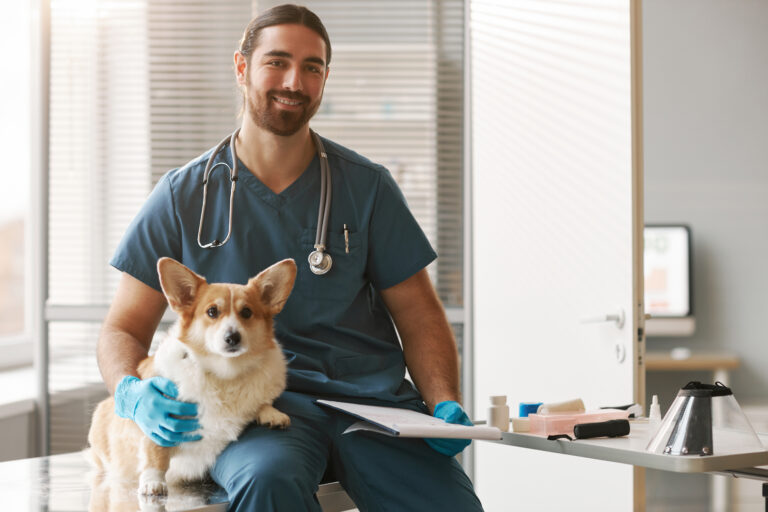 Concursos para médicos-veterinários: estratégias para conquistar a vaga