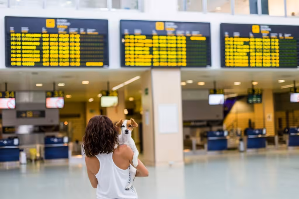 young woman at the airport ready to travel with her dog