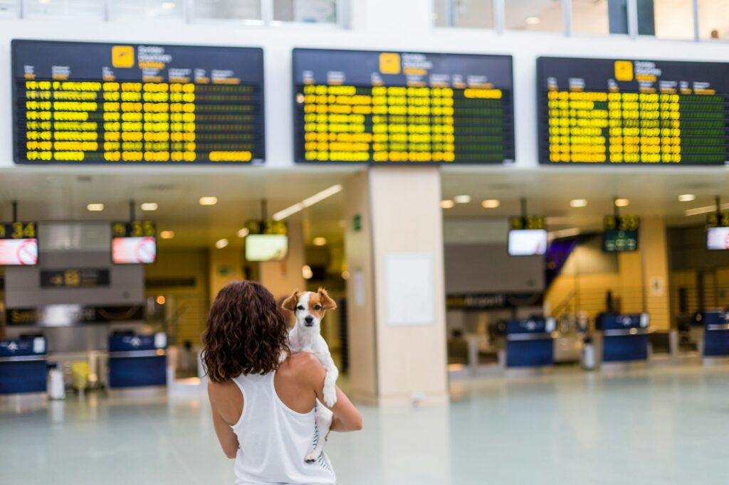 young woman at the airport ready to travel with her dog