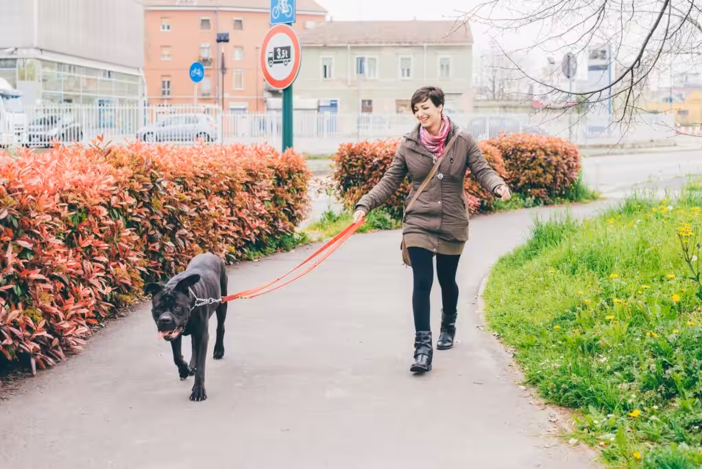Young woman playing dog