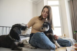 presença de cães